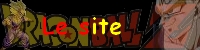 Le site
