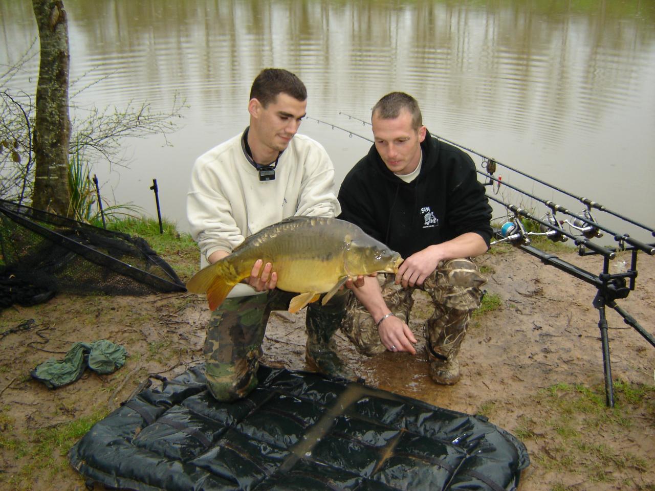 VIEURE 2008