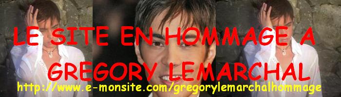 SITE EN HOMMAGE A GREGORY LEMARCHAL