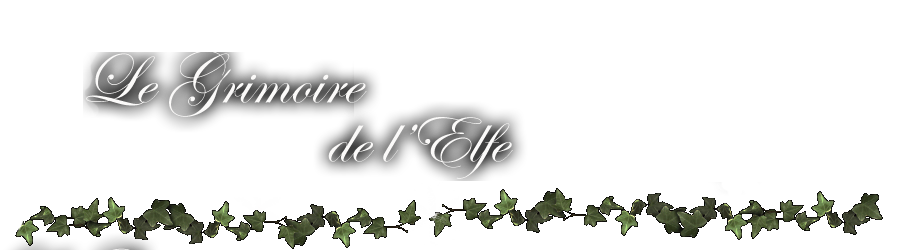 Le Grimoire de l'elfe