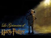 Le grimoire d'Harry Potter