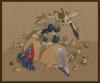 Album par d�faut