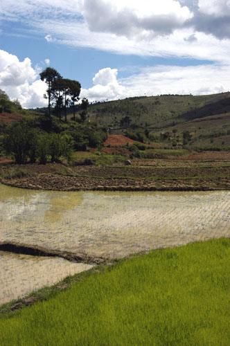 Hautes Terres-22.JPG