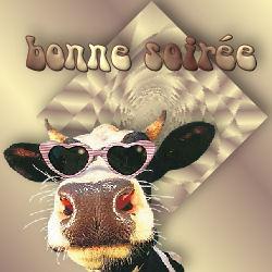 bonnesoireevache.jpg