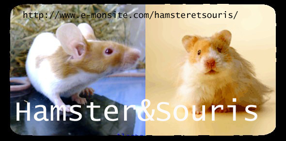 hamster&souris