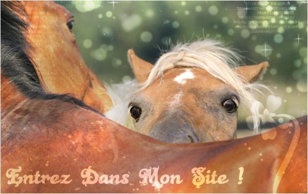 Le haras de l'Epinay