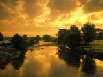 d24d543-images004.jpg