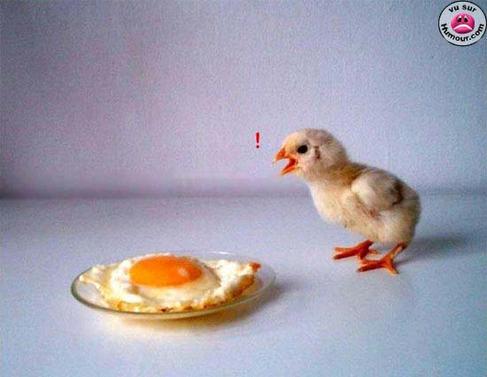 HUMOUR XXL !!!!