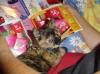 Album par d�faut