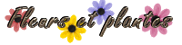 Fleurs et Plantes