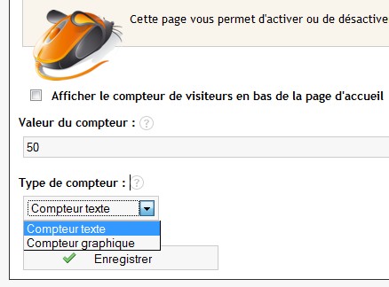 Cocher ou non la case selon si vous souhaitez afficher le compteur en bas de la page d'accueil