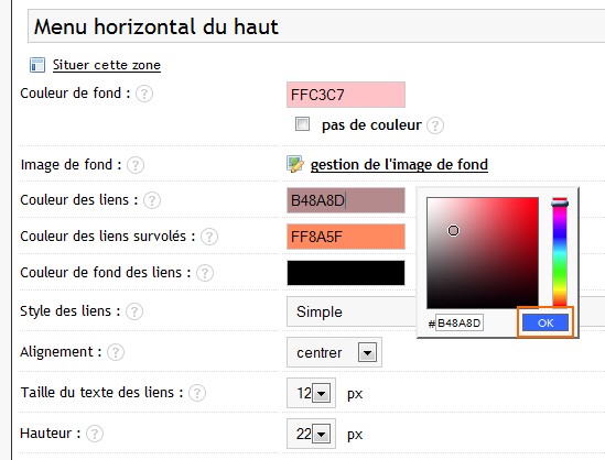 Cliquez dans le champ voulu et choisissez la couleur dans la palette