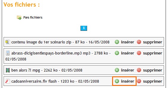 Bouton pour insérer la vidéo dans la rubrique