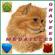  - Ets Procl� - M�daille grav�e personnalis�e pour chien et chat