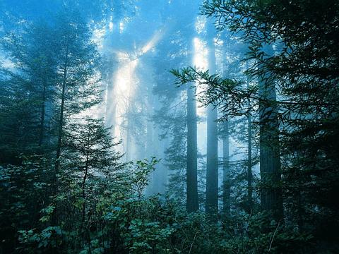 3rr8e38-2-nature.jpg