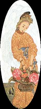 Reveuse