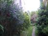 Album par d�faut