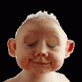 Album par d�faut