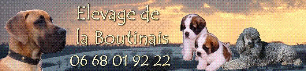 Elevage de la Boutinais