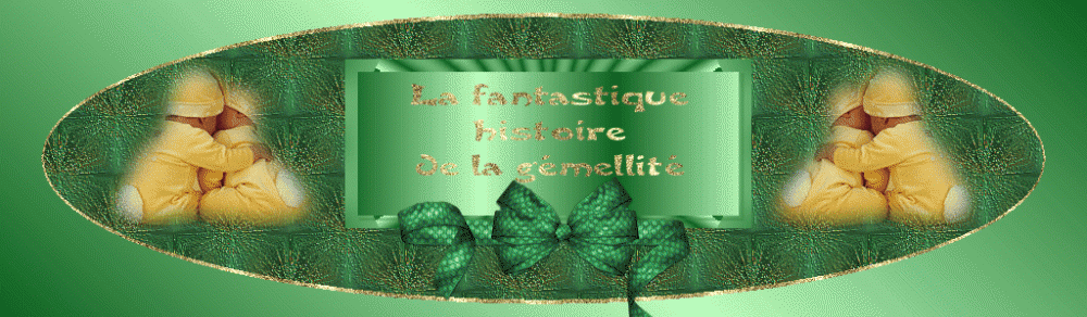 La fantastique histoire de la g�mellit�