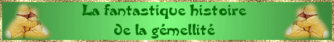 La fantastique histoire de la g�mellit�