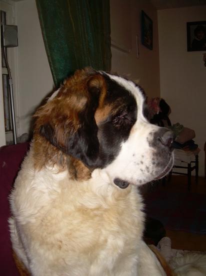 biguine (fille de ubba)
