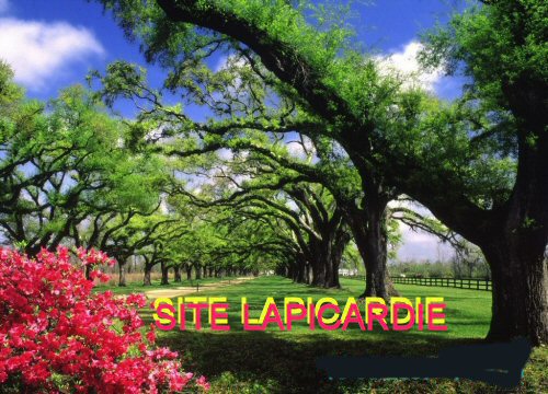 la r�gion de la picardie