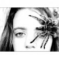 Album par d�faut