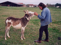 L'Association