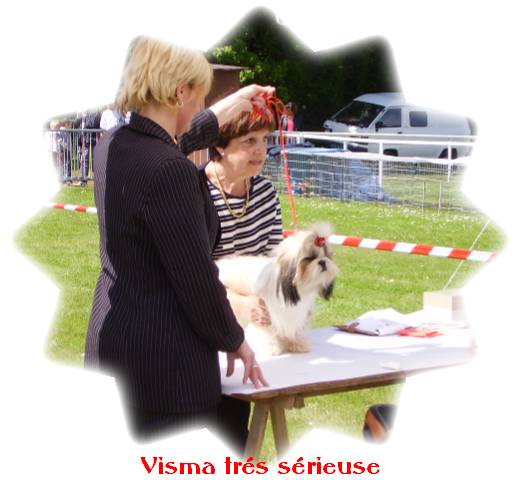 visma cacs senlis excellent