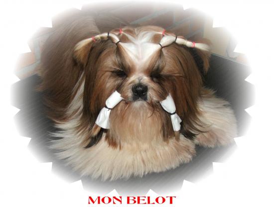 mon petit ulman