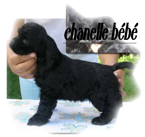 baby-doll a deux mois