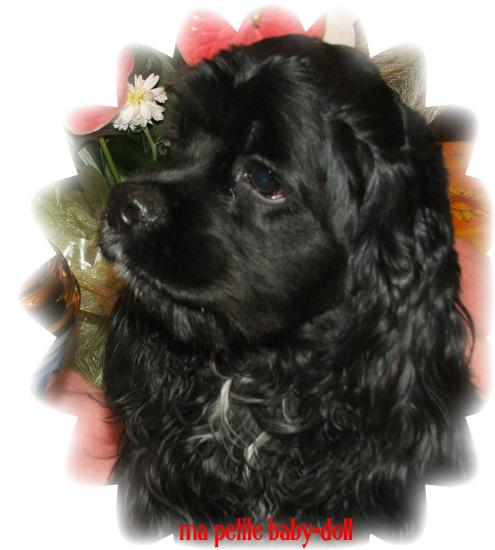 mon adorable chanelle (baby-doll)