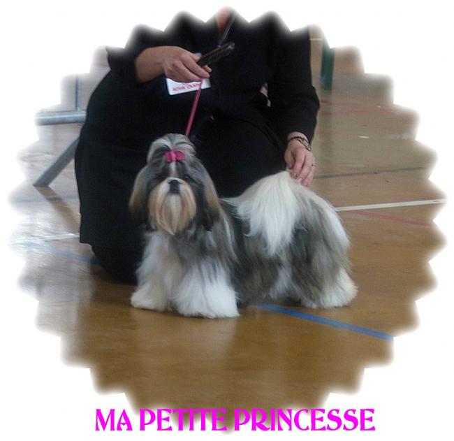 BEAUTY STAR A AMIENS