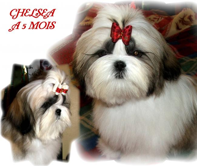 CHELSEA 5 MOIS