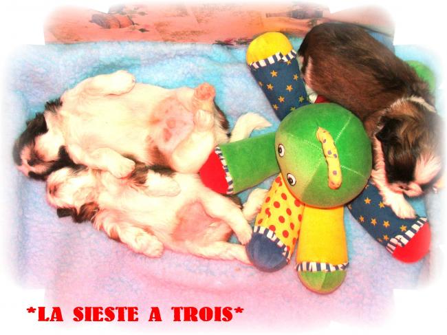 moment de tendresse