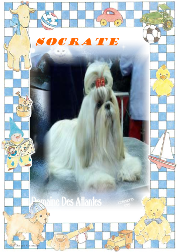 socrate du domaine des atlantes