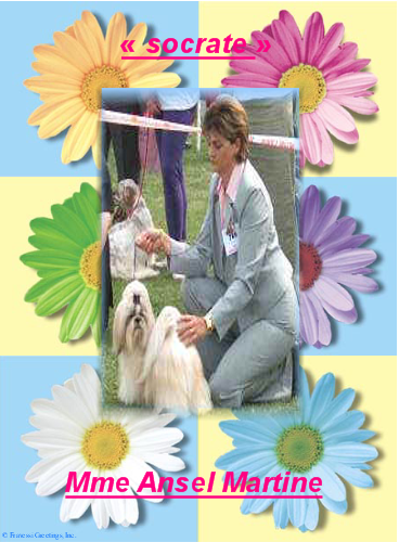 socrate et mme ansel martine