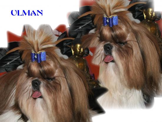 ultra-red (ulman)