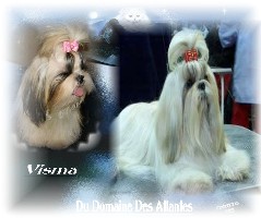 visma et socrate du domaine des atlantes