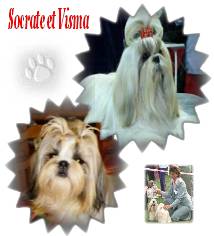 VISMA ET SOCRATE
