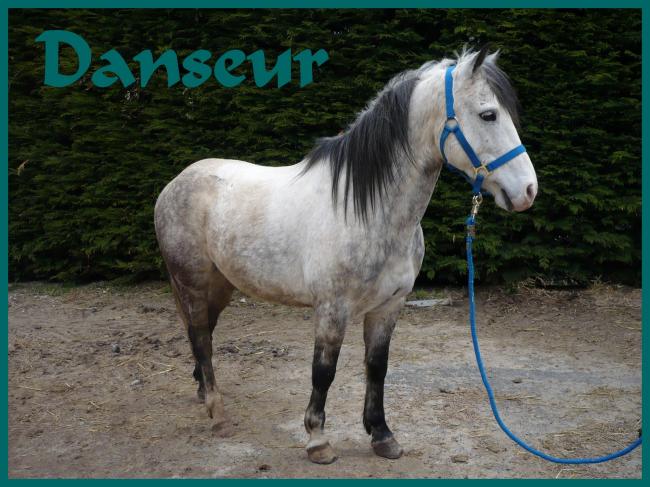 Danseur