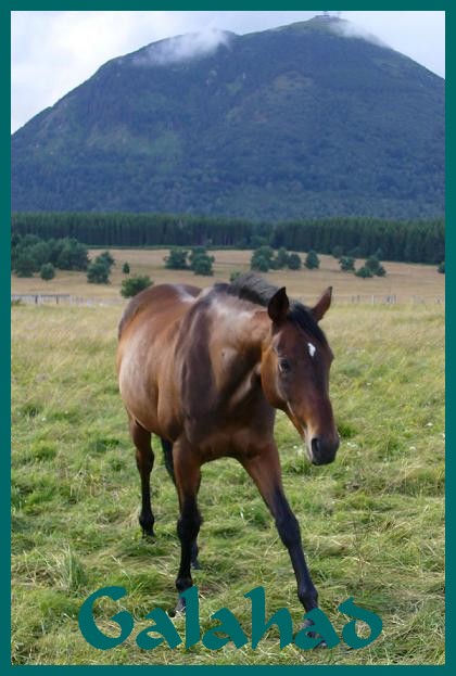 Galahad