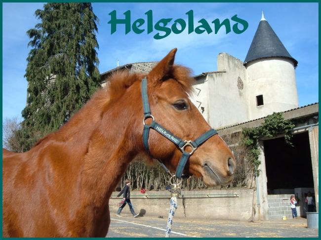 Helgoland