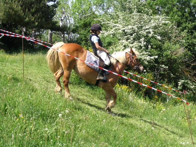 trec