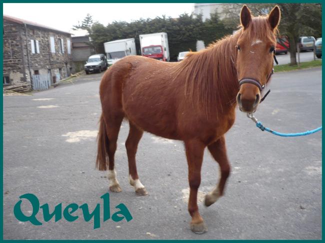 Queyla