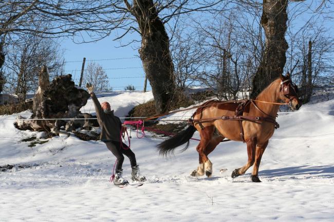 ski jo�ring