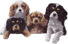 Les cavaliers du Jardin des Anges