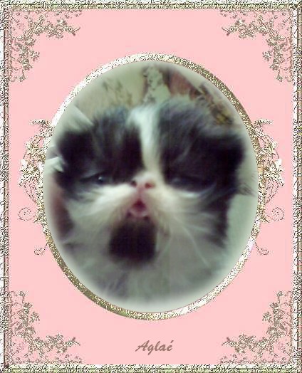 d8i1066-copie-de-empty_pink.jpg