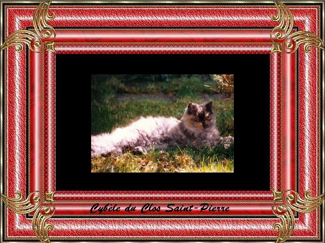 lird4dr-cadre-rouge-cybele.jpg lird4dr-cadre-rouge-cybele.jpg